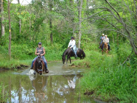 Trail Riding at Sportsmans Lake Equestrian Riding Trails Spider on a Peruvian gelding and Denitia on her Paso Fino mare